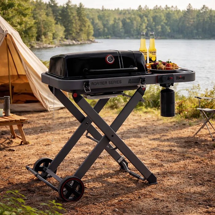 Portable Gas Grill with Foldable Cart