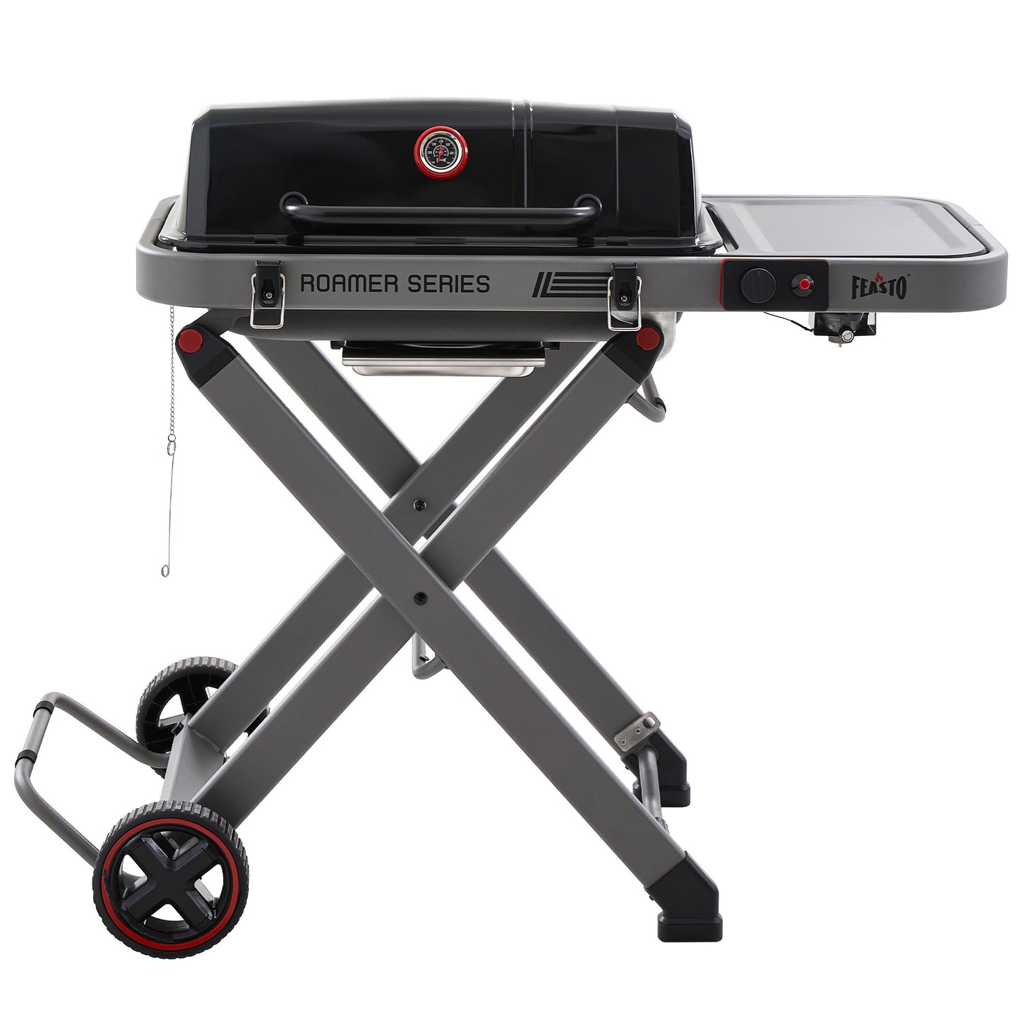 Portable Propane Gas Grill with Folding Cart, Camping & Tailgating, Grey