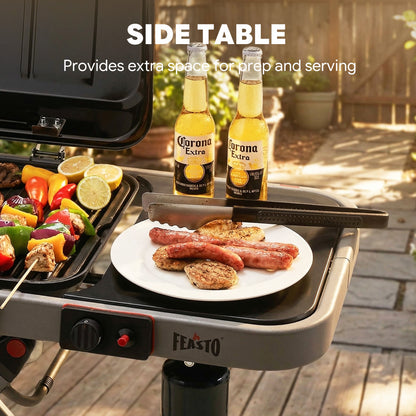 Portable Propane Gas Grill with Folding Cart, Camping & Tailgating, Grey