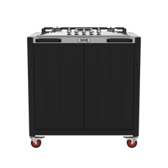 Stainless Steel with Propane Gas Stove