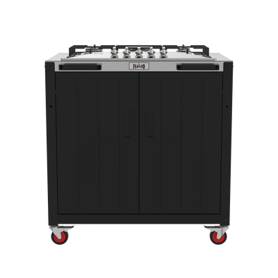 Stainless Steel with Propane Gas Stove