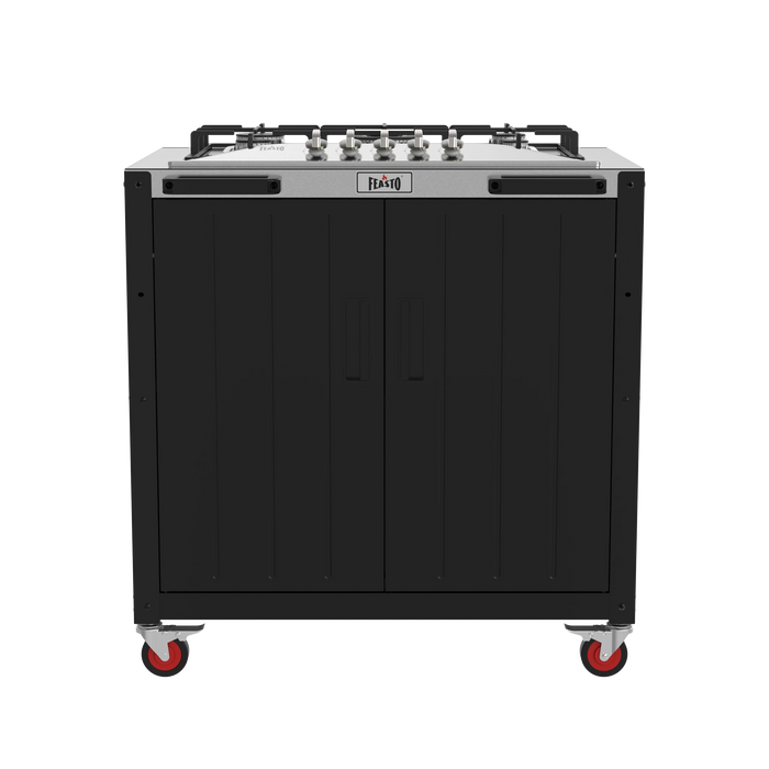 Stainless Steel with Propane Gas Stove